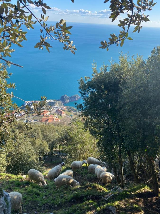 B&B Miramare Agerola Exterior photo